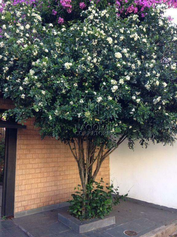 Sobrado para aluguel no Jardim Rina: 