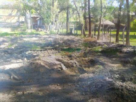 Terreno / Área no bairro Pingo D Água Betim: 