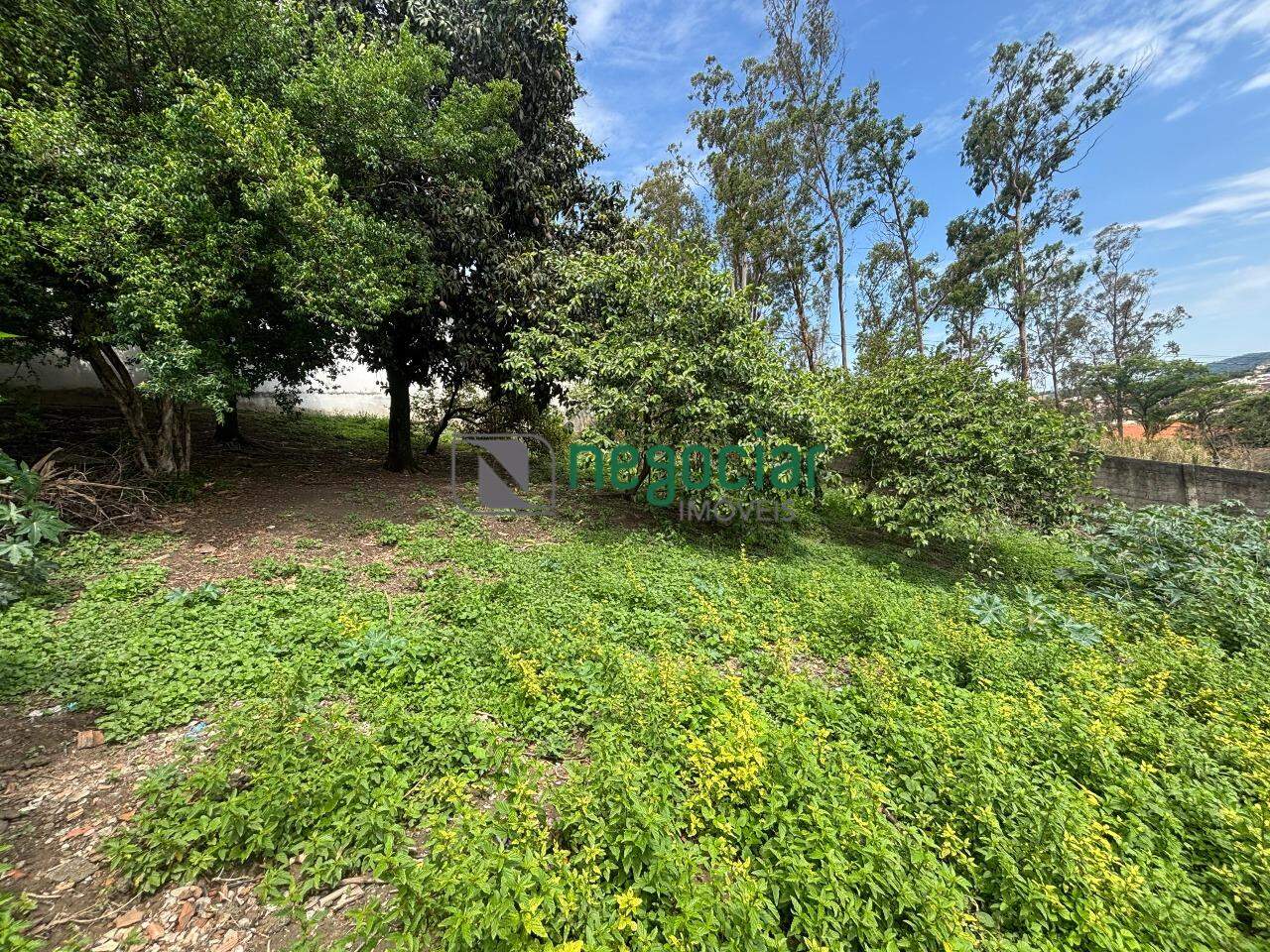 Lote no bairro Brasiléia Betim: 