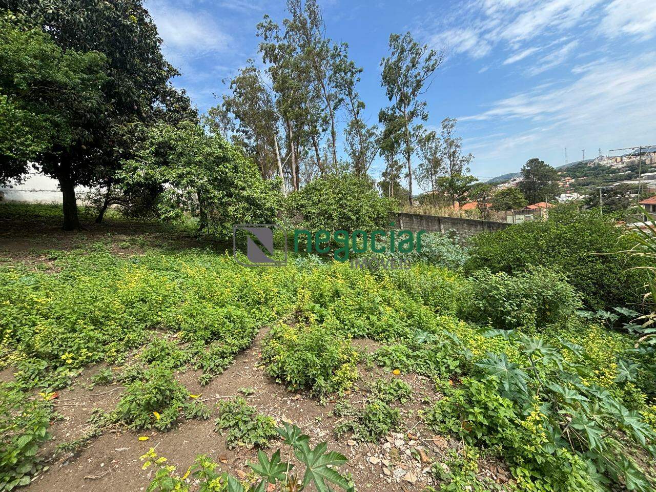 Lote no bairro Brasiléia Betim: 