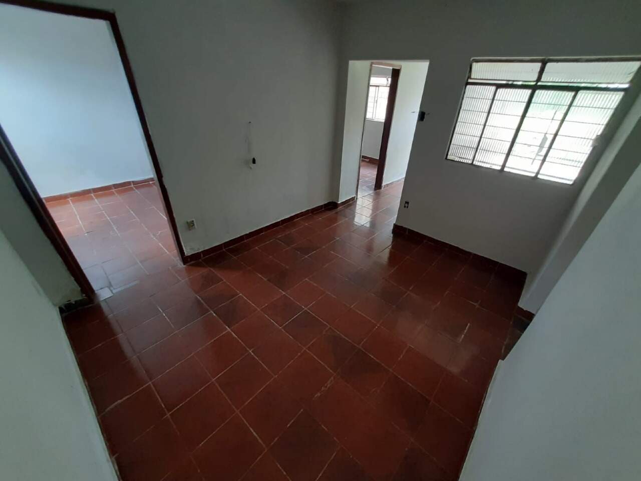 Lote: 