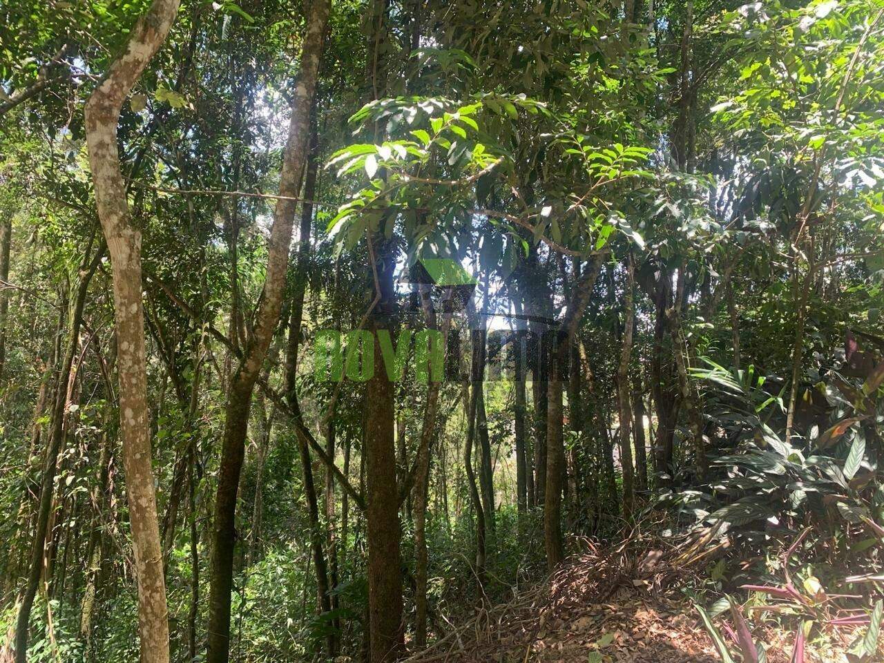 Lote à venda no São Sebastião Das Águas Claras: 