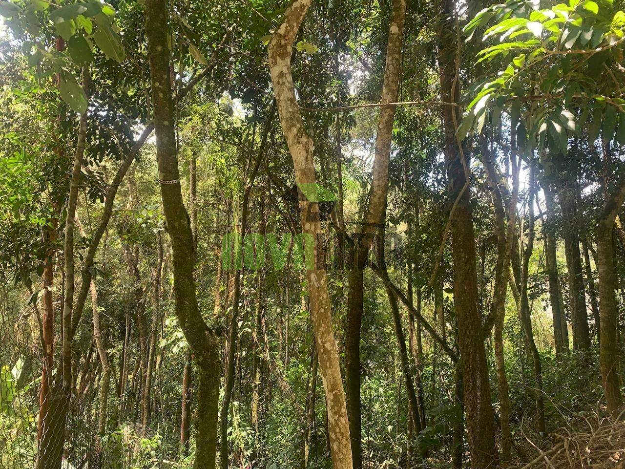 Lote à venda no São Sebastião Das Águas Claras: 