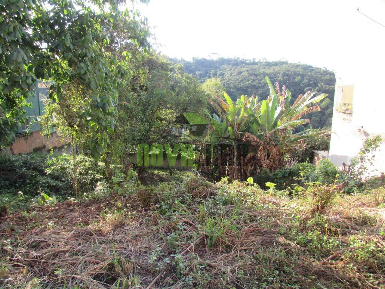 Lote à venda no Cabeceiras: 