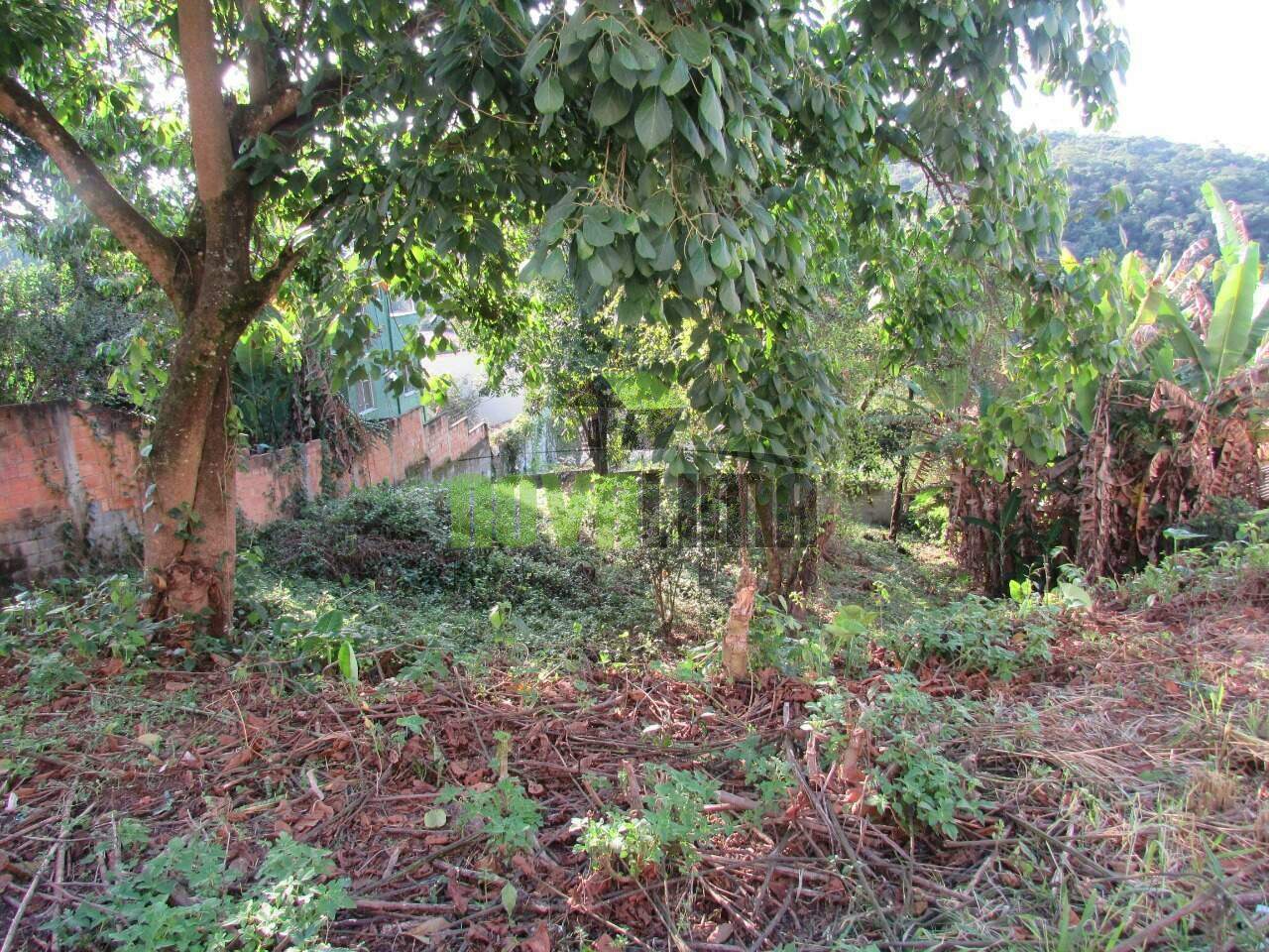 Lote à venda no Cabeceiras: 
