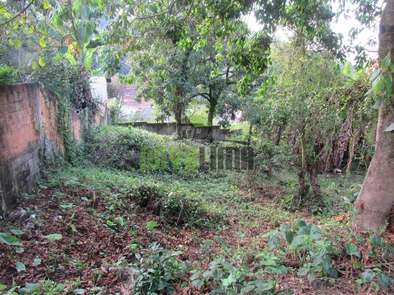 Lote à venda no Cabeceiras: 