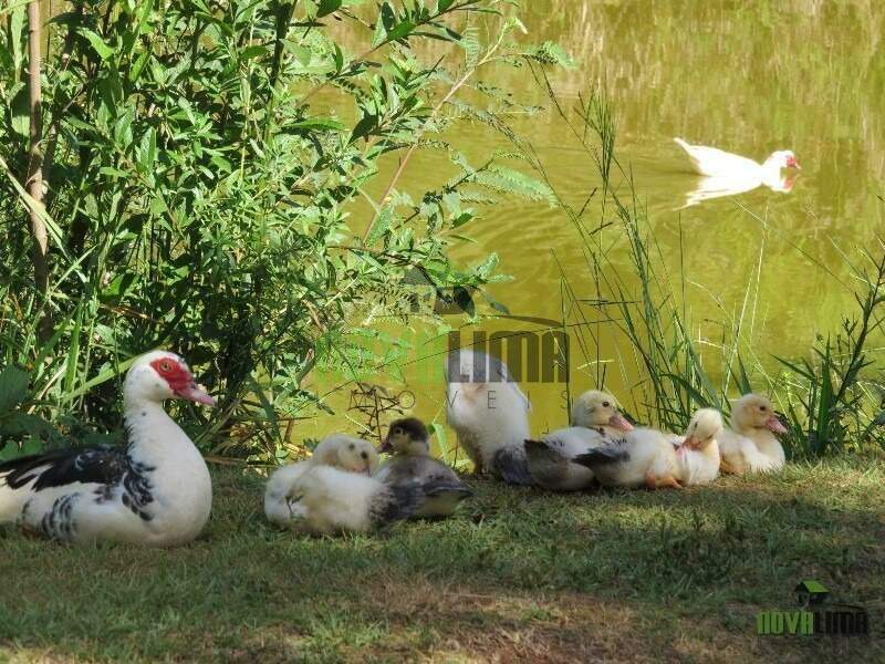 Lote em condomínio à venda no Condomínio Veredas das Geraes: 