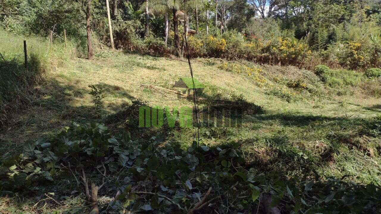 Lote à venda no Papa Milho: 