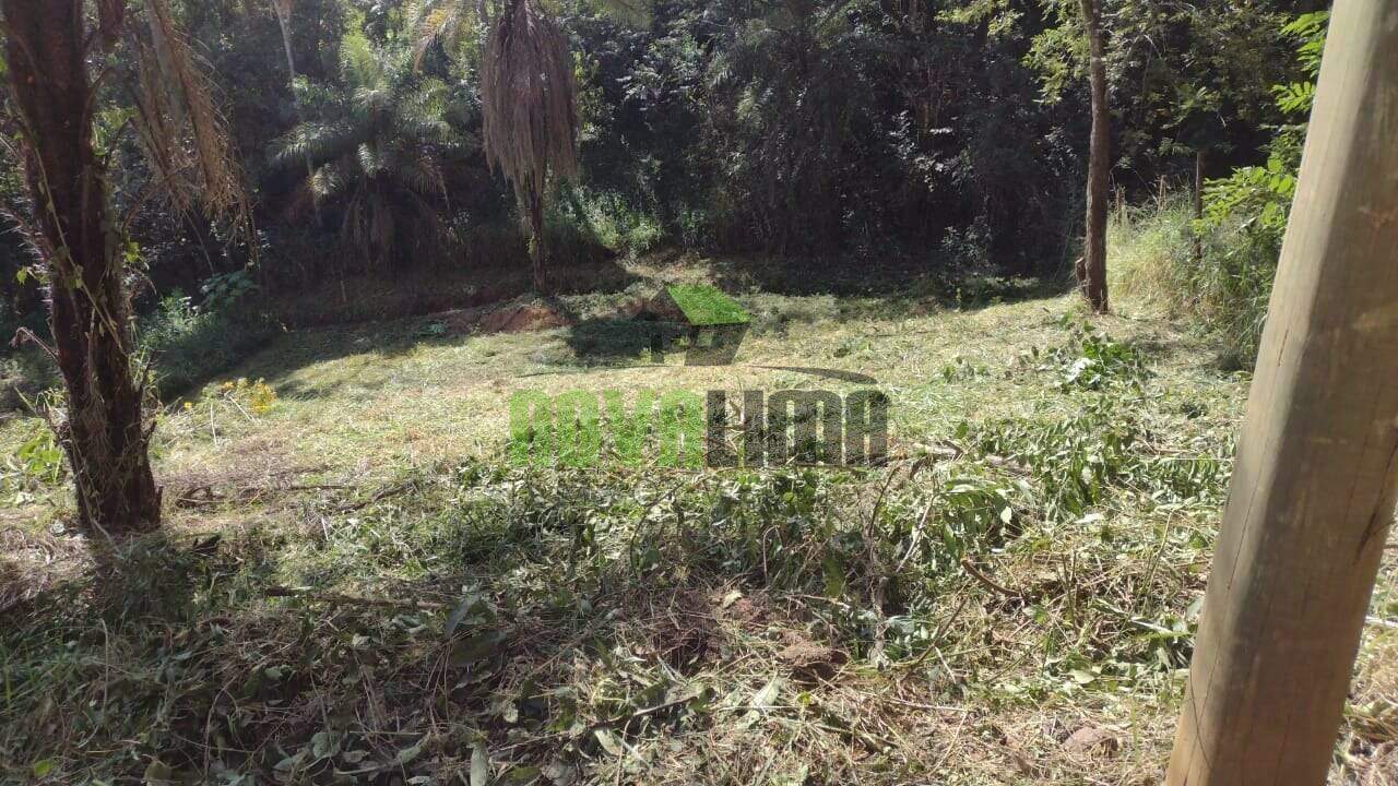 Lote à venda no Papa Milho: 