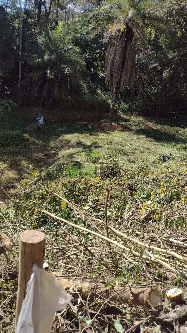 Lote à venda no Papa Milho: 