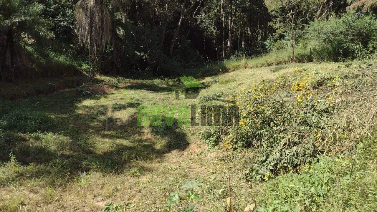 Lote à venda no Papa Milho: 