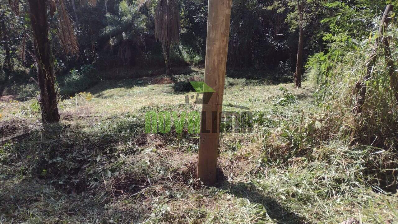 Lote à venda no Papa Milho: 