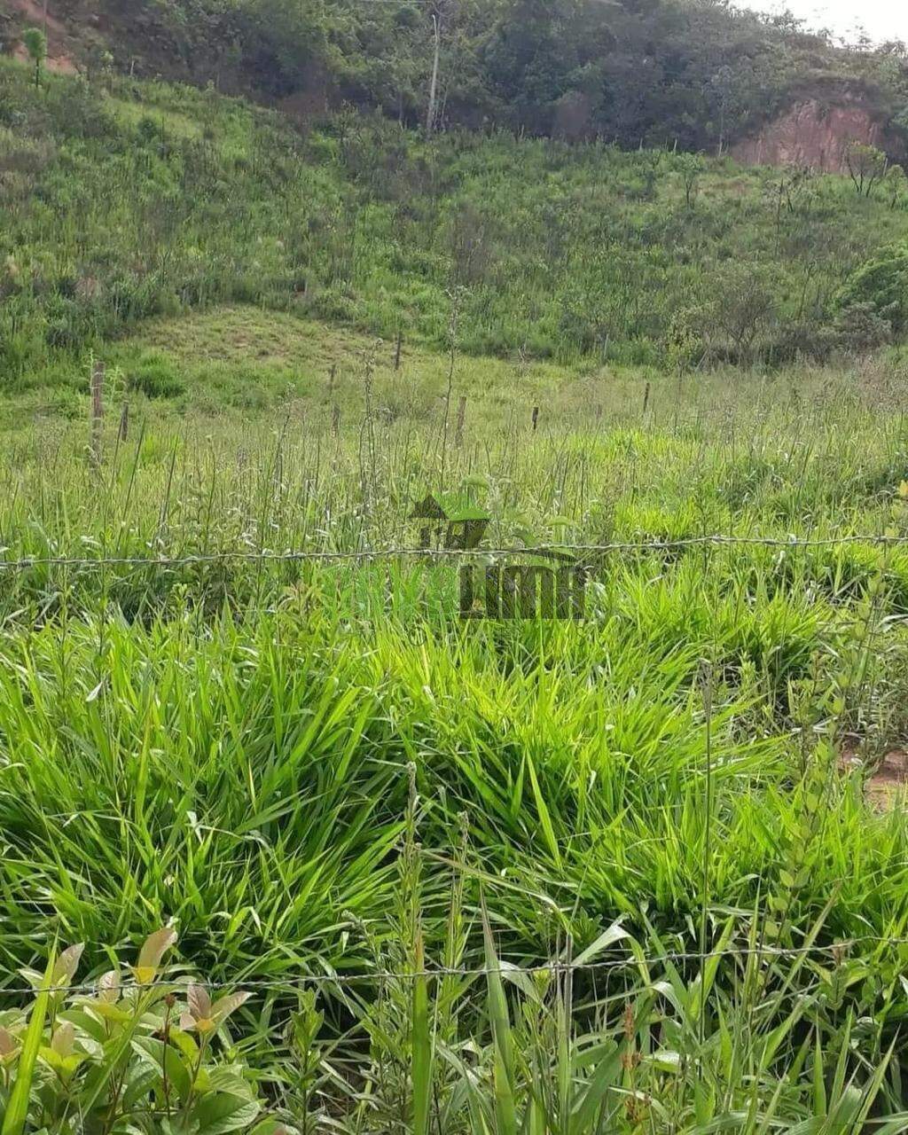 Lote à venda no Jatobá: 