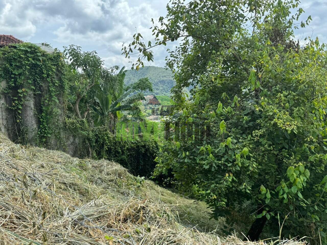 Lote à venda no Quintas: 