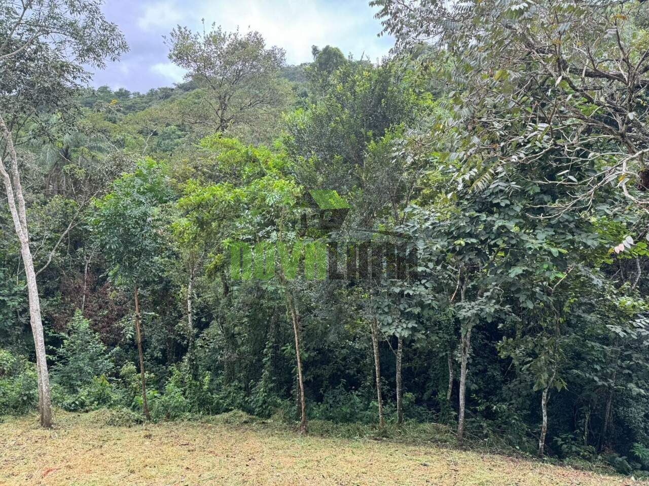 Lote em condomínio à venda no Lecotage: 