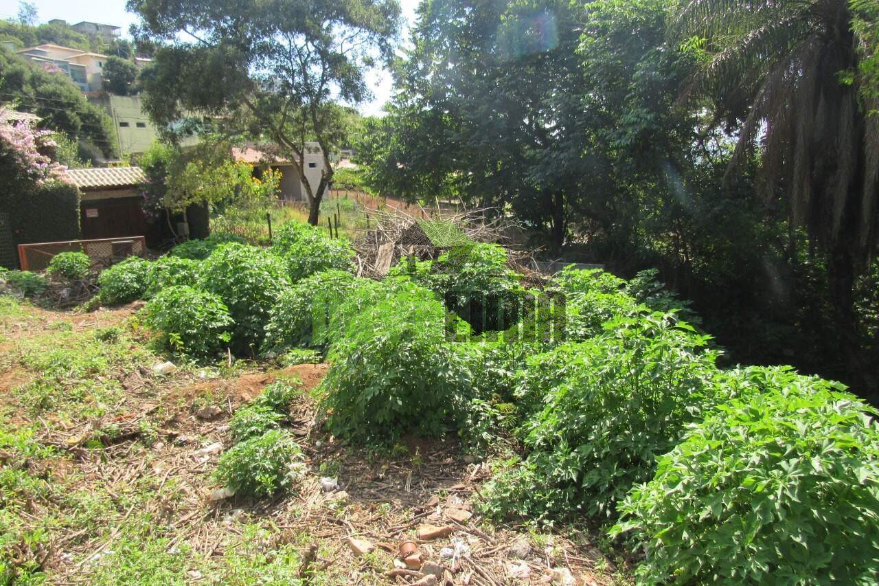 Lote à venda no Campo do Pires: 