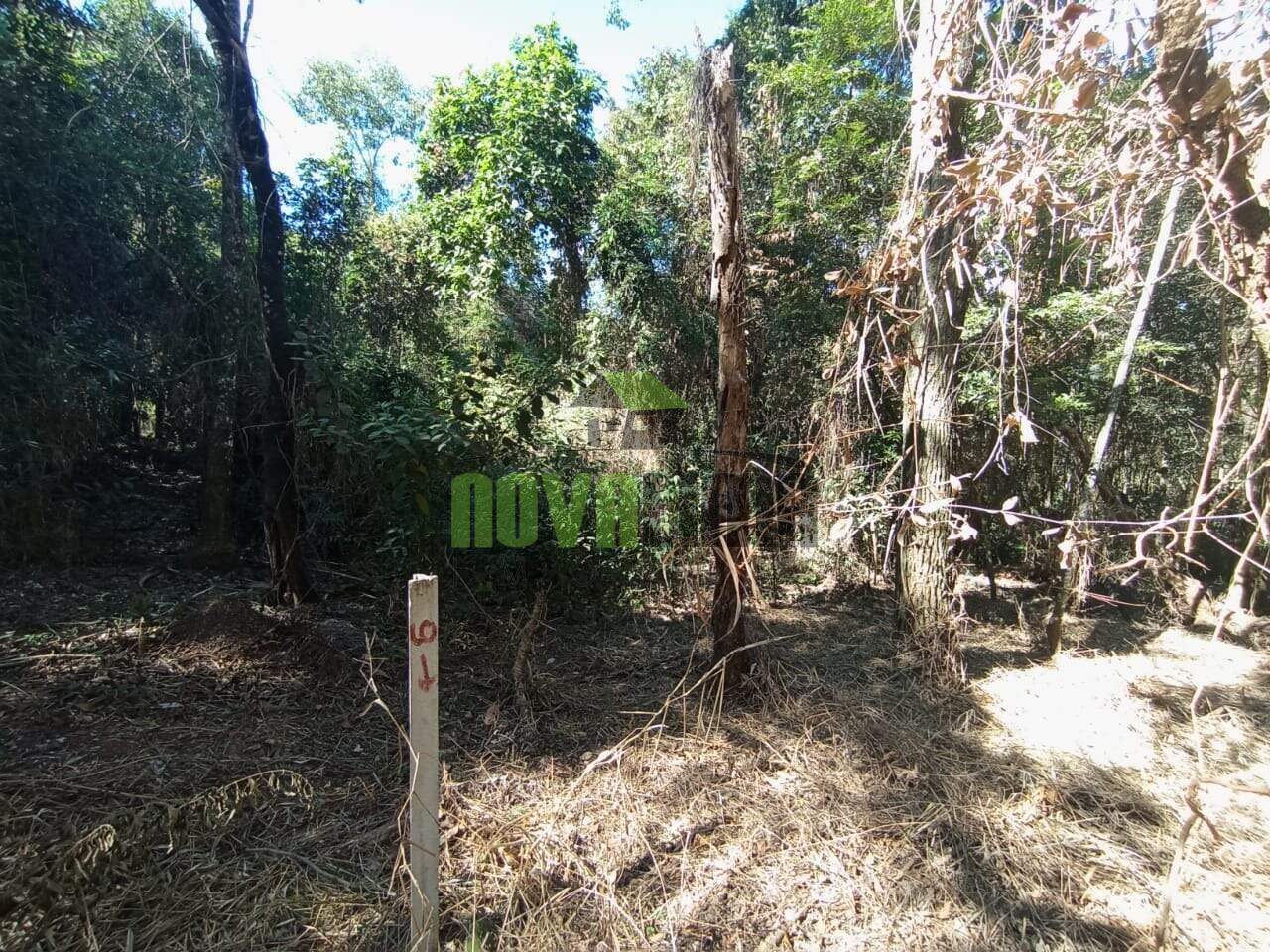 Lotes em Condomínio à venda no Condomínio Canto Da Mata: 