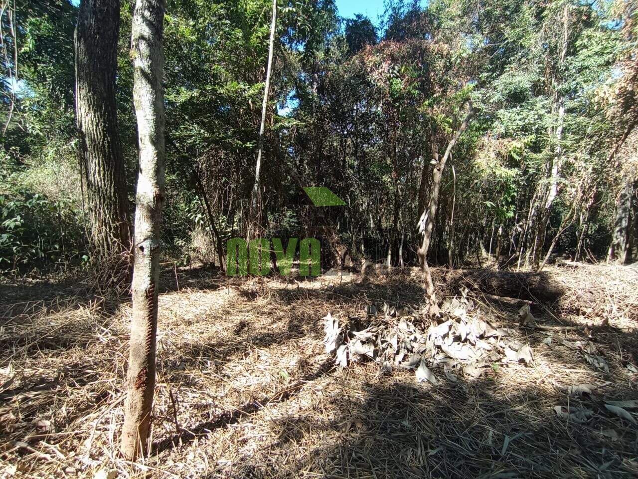 Lotes em Condomínio à venda no Condomínio Canto Da Mata: 