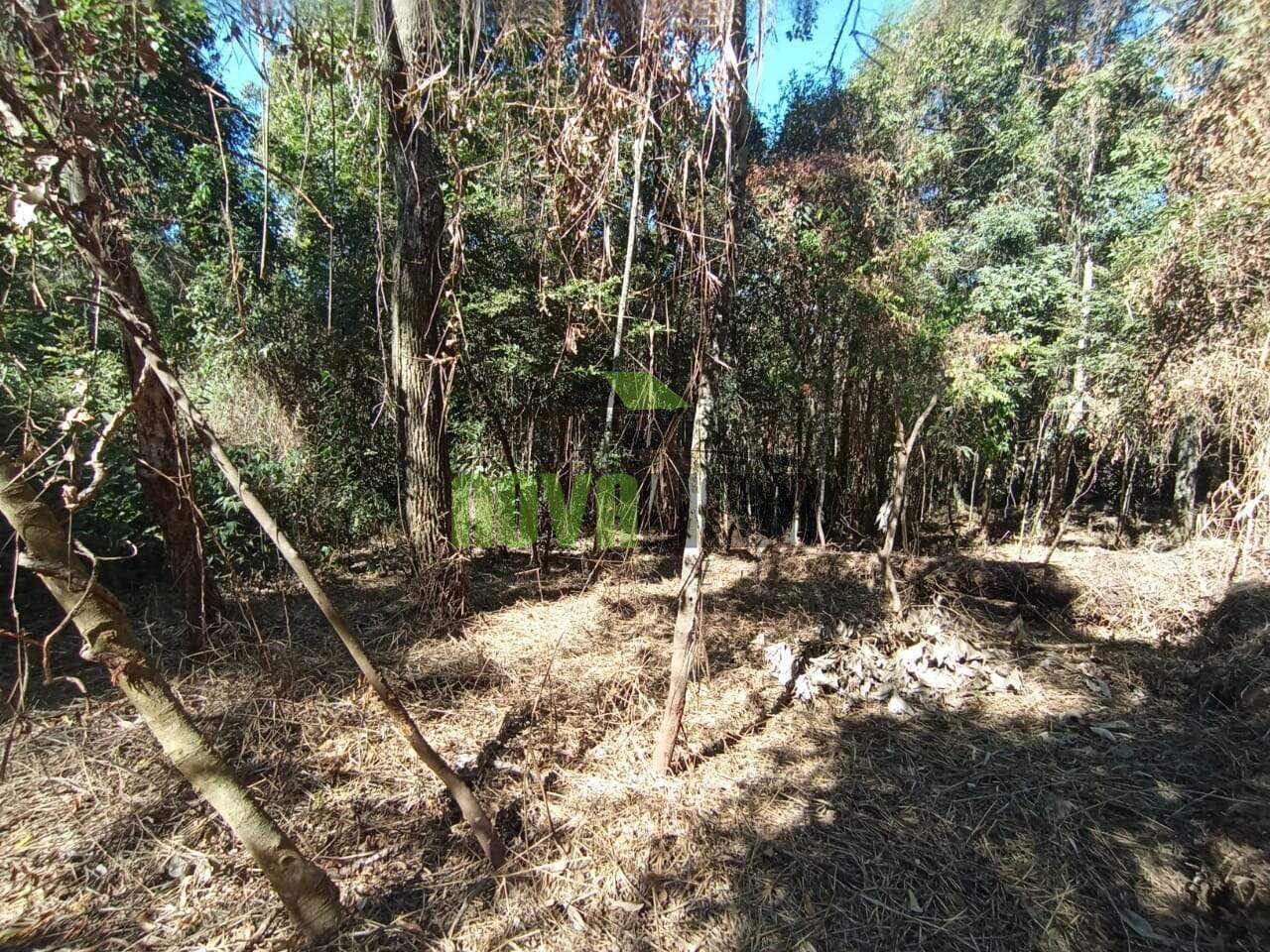 Lotes em Condomínio à venda no Condomínio Canto Da Mata: 
