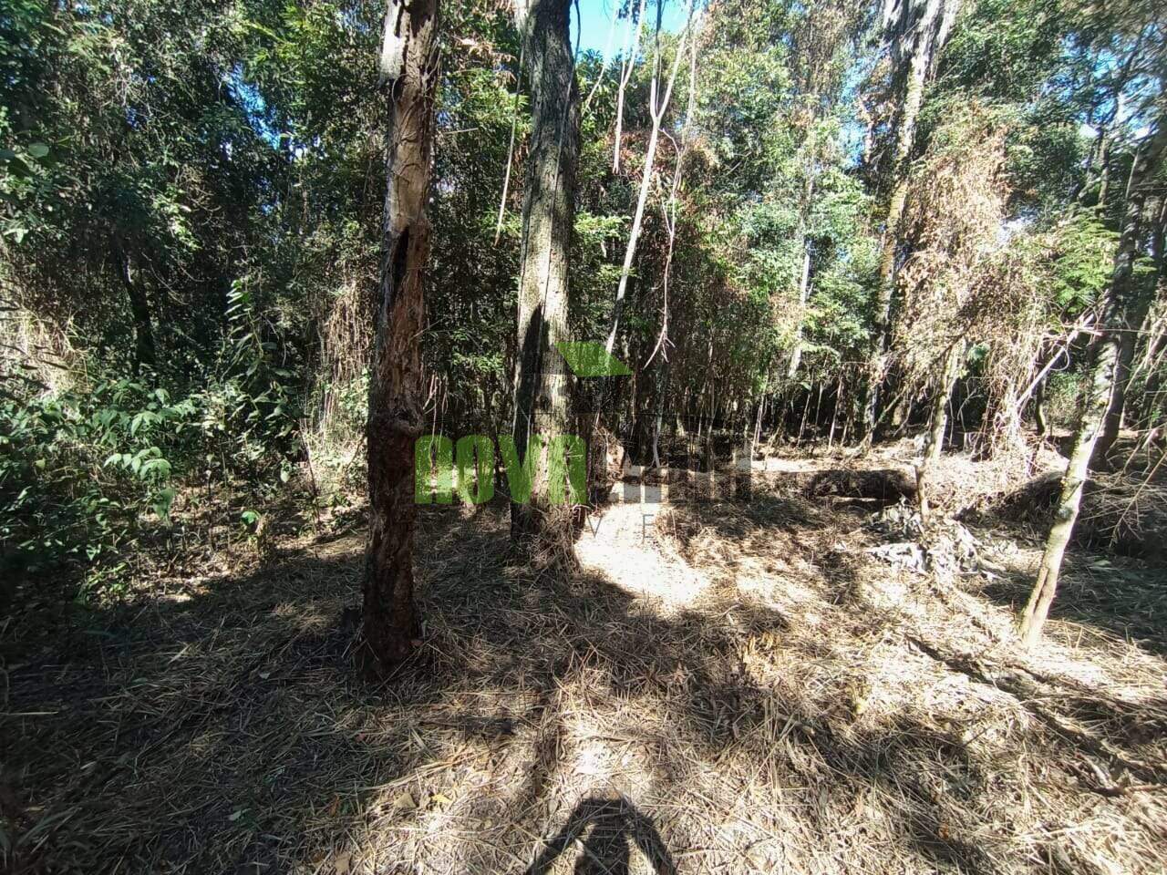Lotes em Condomínio à venda no Condomínio Canto Da Mata: 