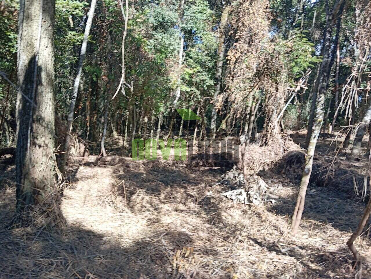 Lotes em Condomínio à venda no Condomínio Canto Da Mata: 