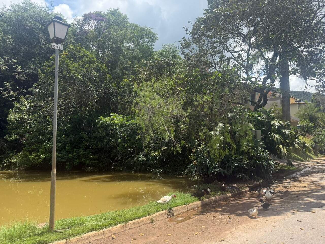 Lote em condomínio à venda no Condomínio Veredas das Geraes: 