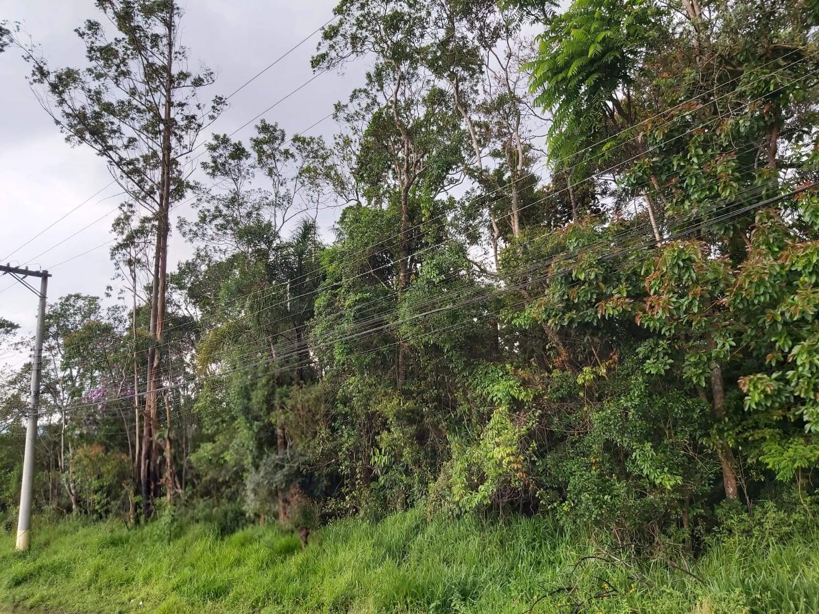 Terreno à venda no Vila São José: 