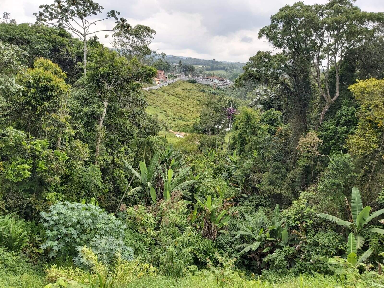 Terreno à venda no Vila São José: 