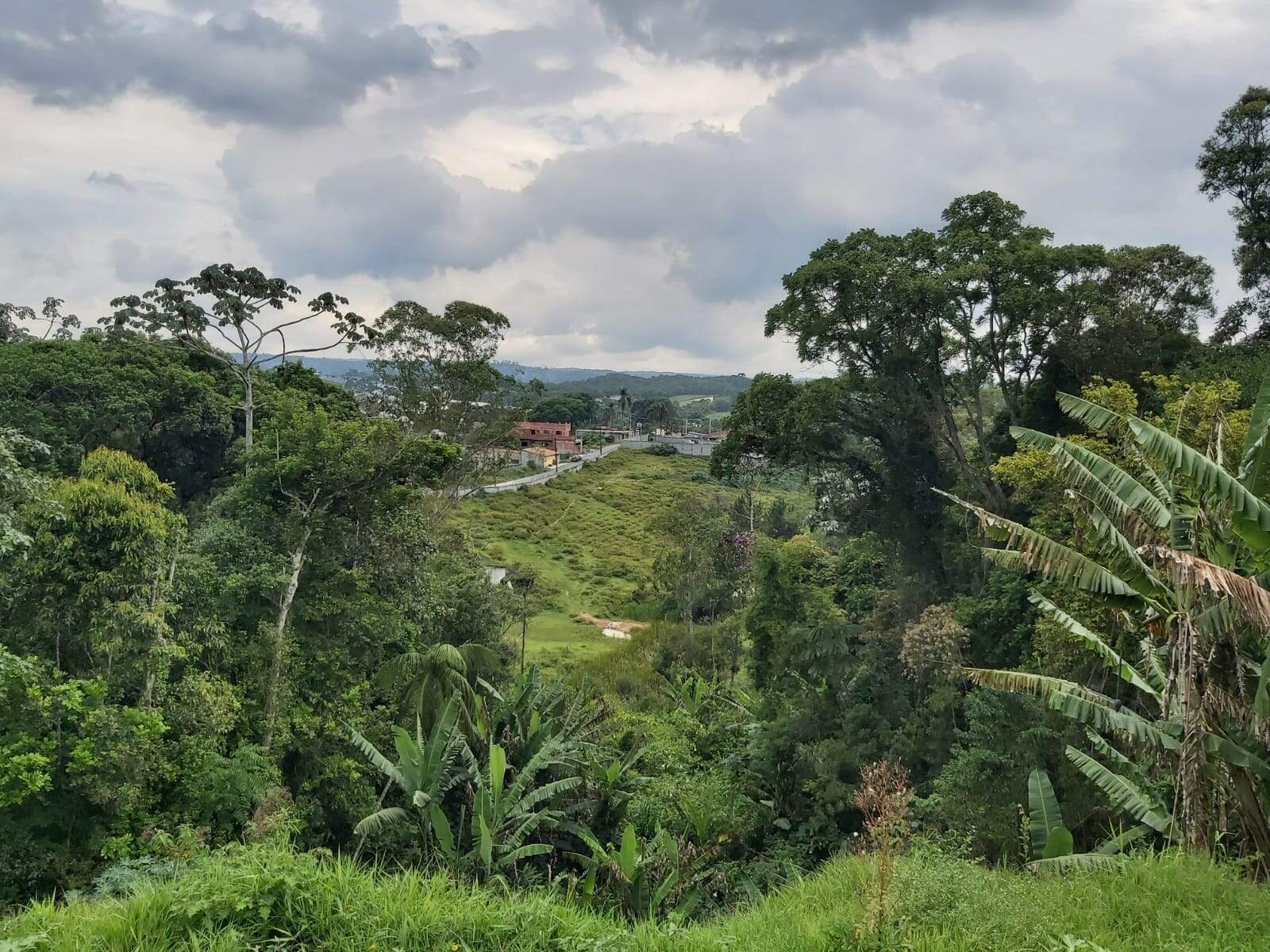 Terreno à venda no Vila São José: 