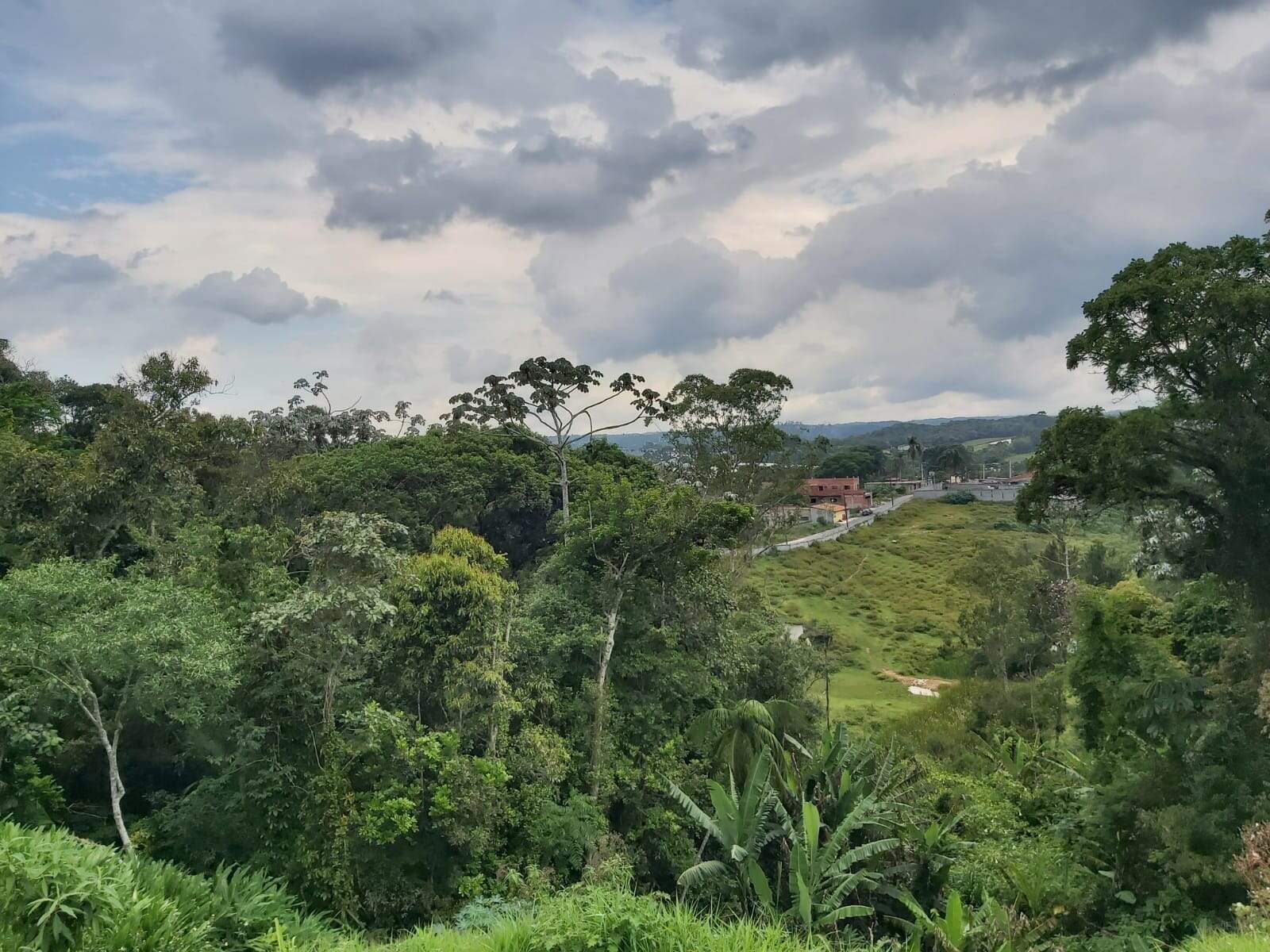 Terreno à venda no Vila São José: 