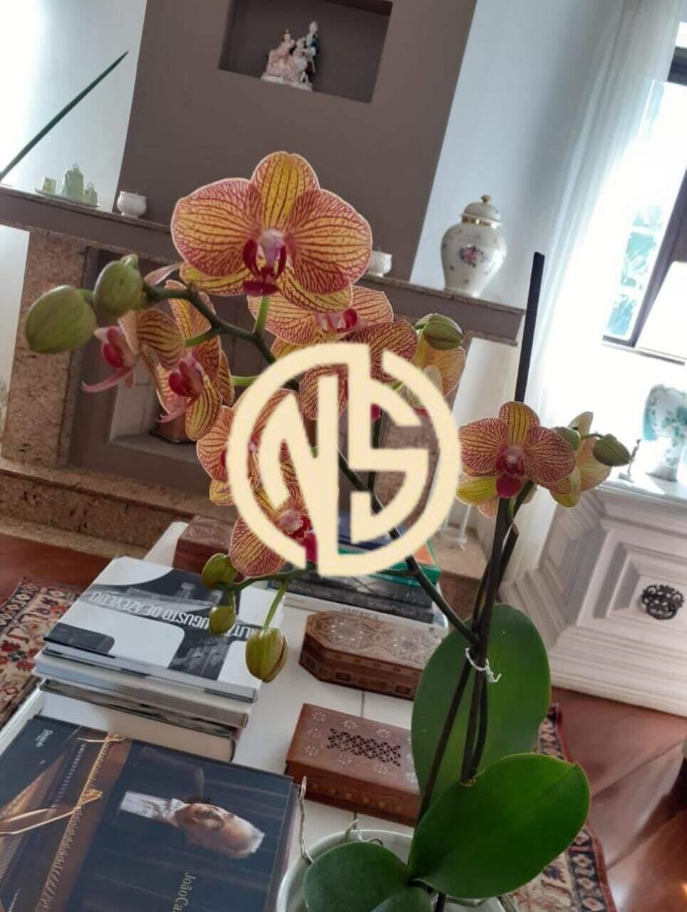 Apartamento à venda no Itaim Bibi: 