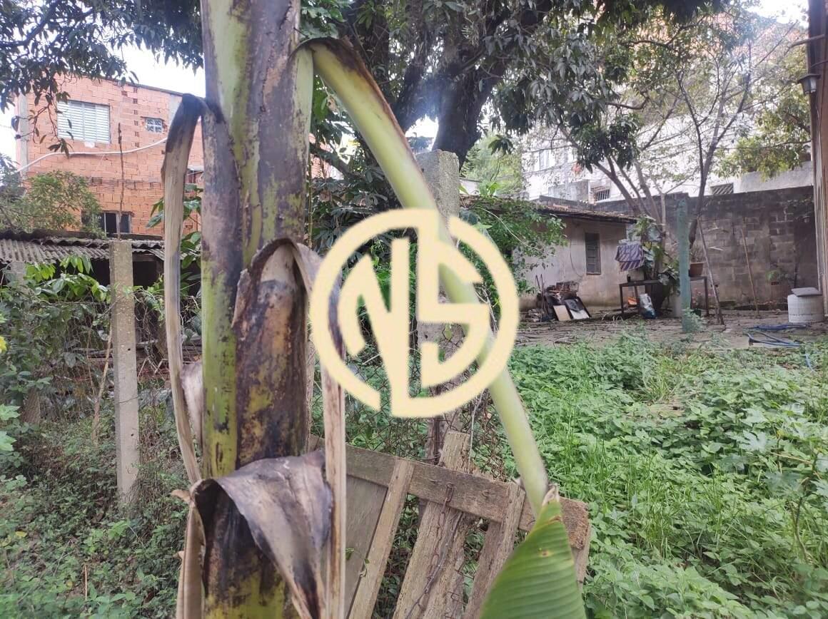 Sobrado à venda no Jardim Avenida: 