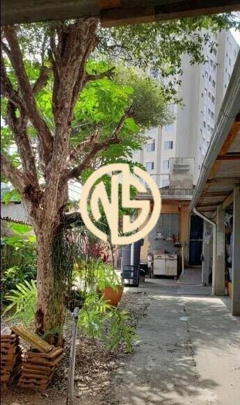 Terreno à venda no Vila Santa Catarina: 