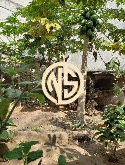 Terreno à venda no Vila Santa Catarina: 