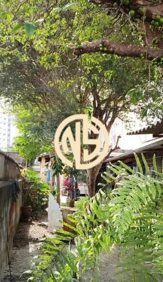 Terreno à venda no Vila Santa Catarina: 