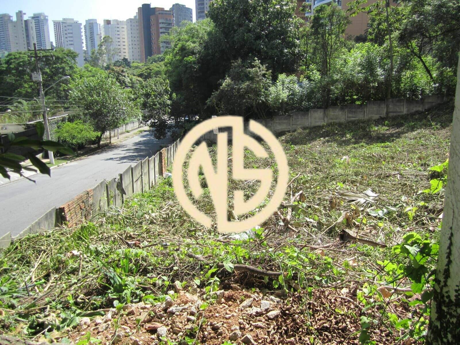 Terreno à venda no Morumbi: 