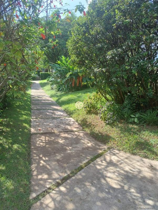 Sobrado para aluguel no Vila Progredior: 