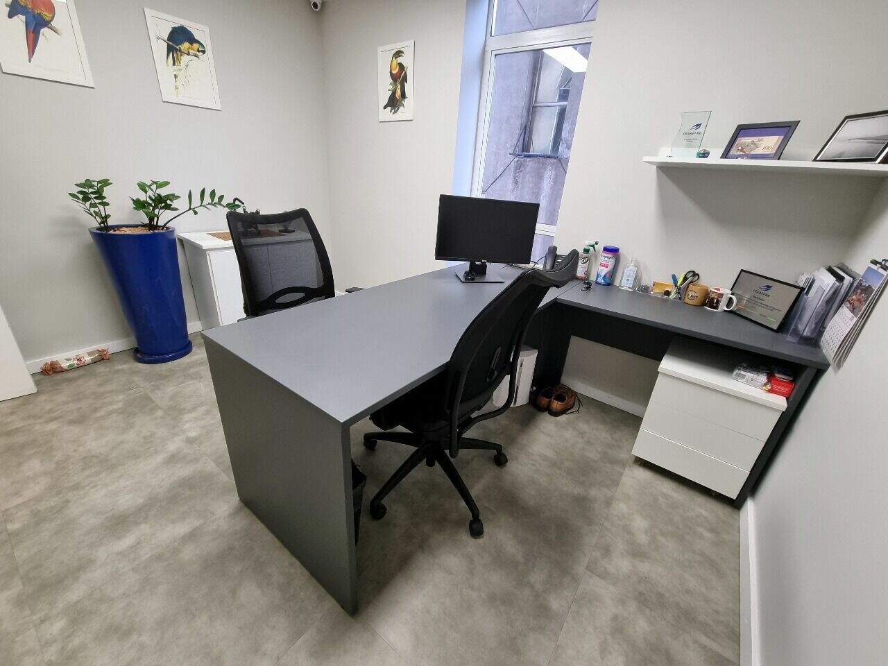 Sala para aluguel no Bela Vista: 