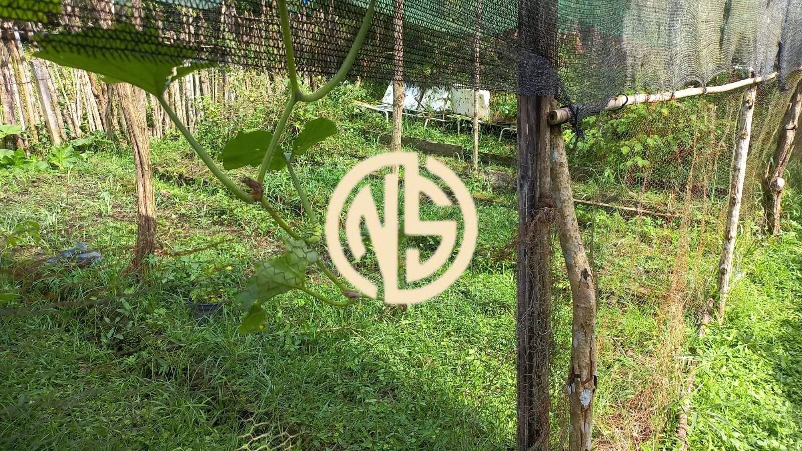 Sítio à venda no Engano: 