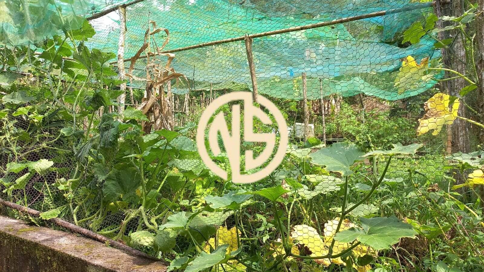 Sítio à venda no Engano: 