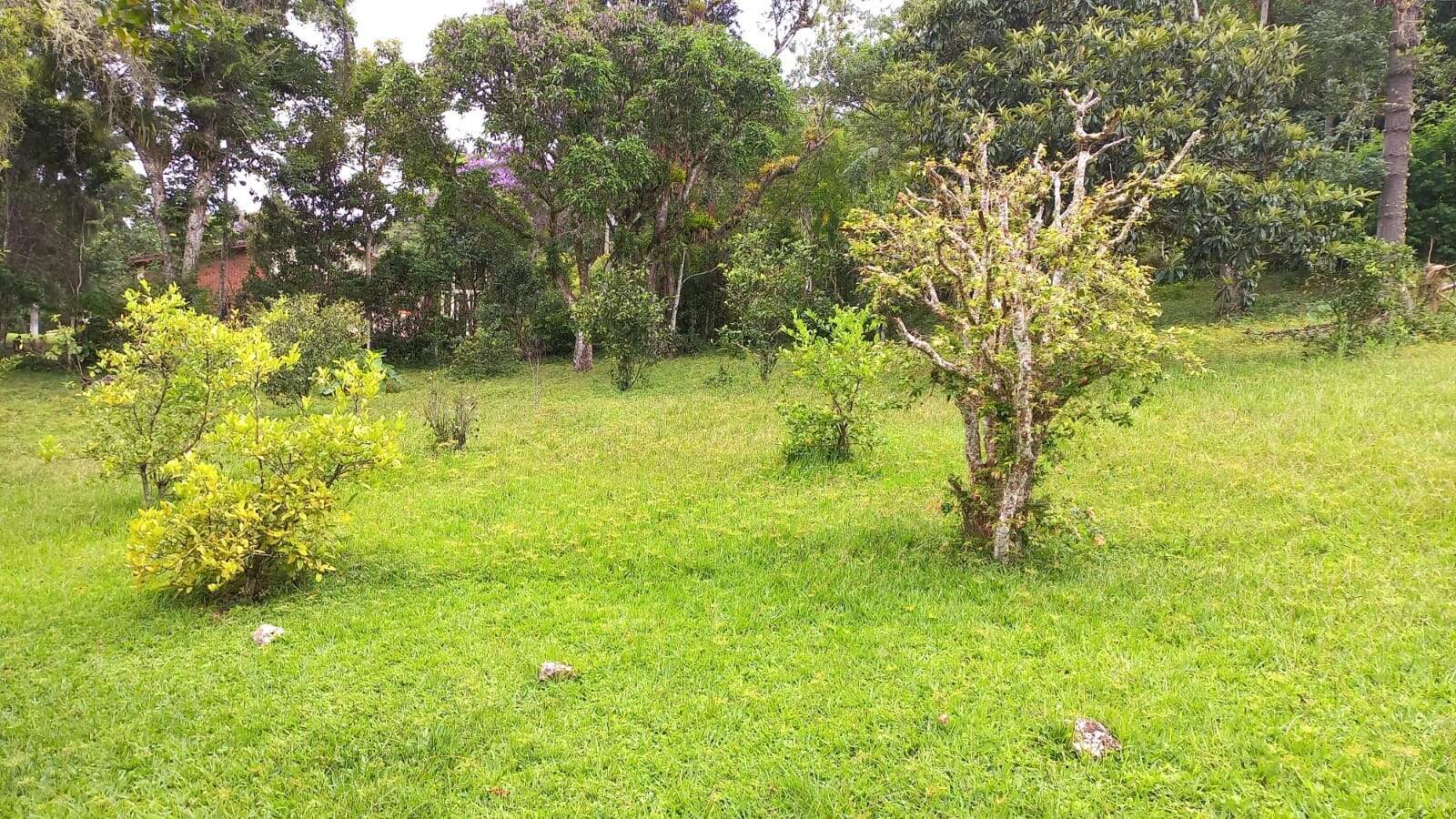 Sítio à venda no Engano: 