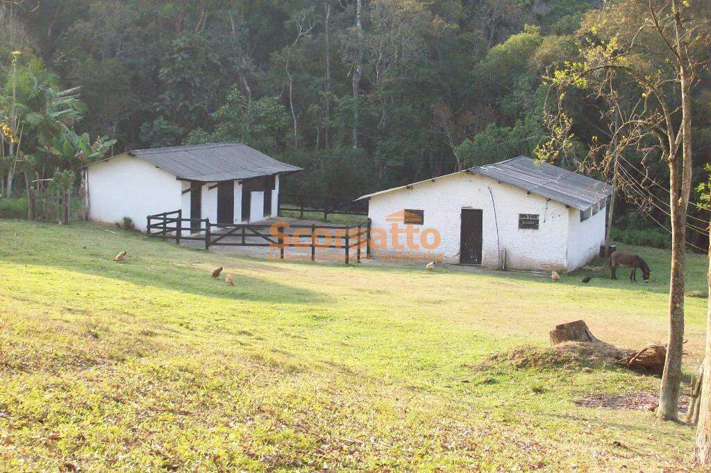 Área à venda no Palmeiras: 