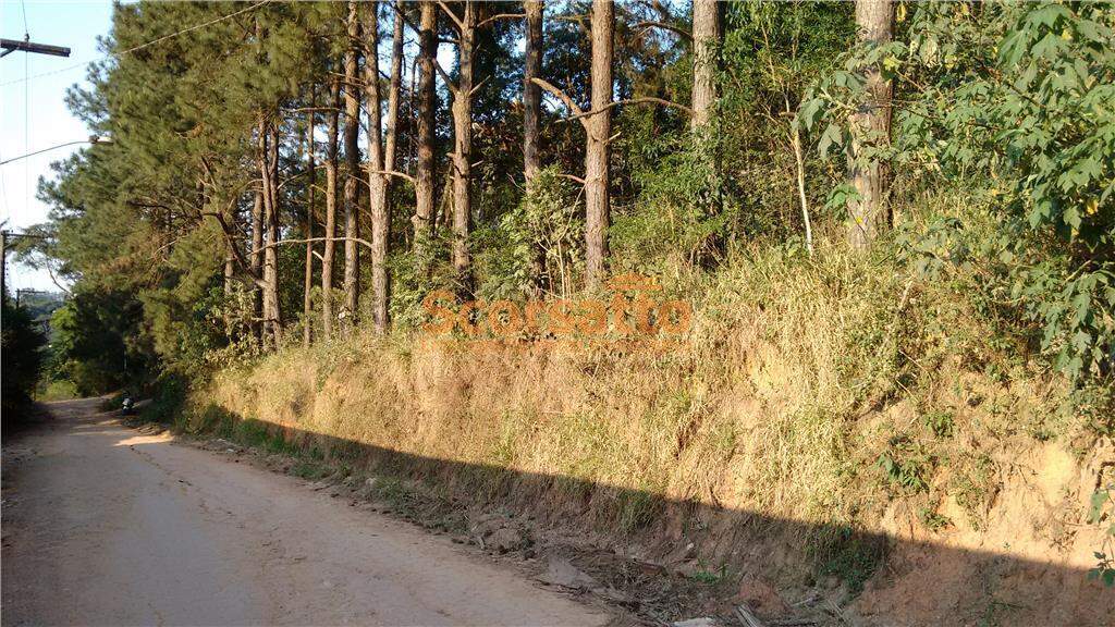 Terreno à venda no Lagoa: 