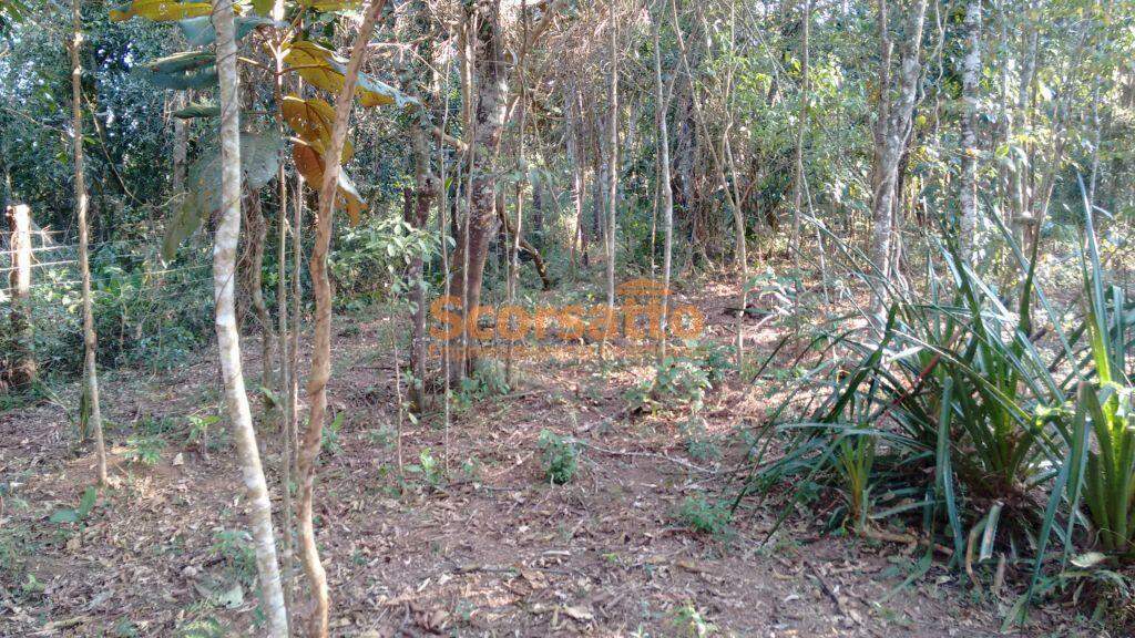 Terreno à venda no Lagoa: 