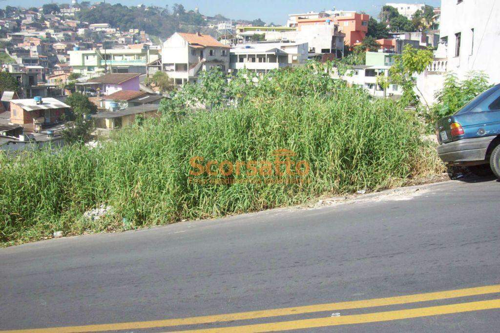 Terreno à venda no Parque Paraíso: 