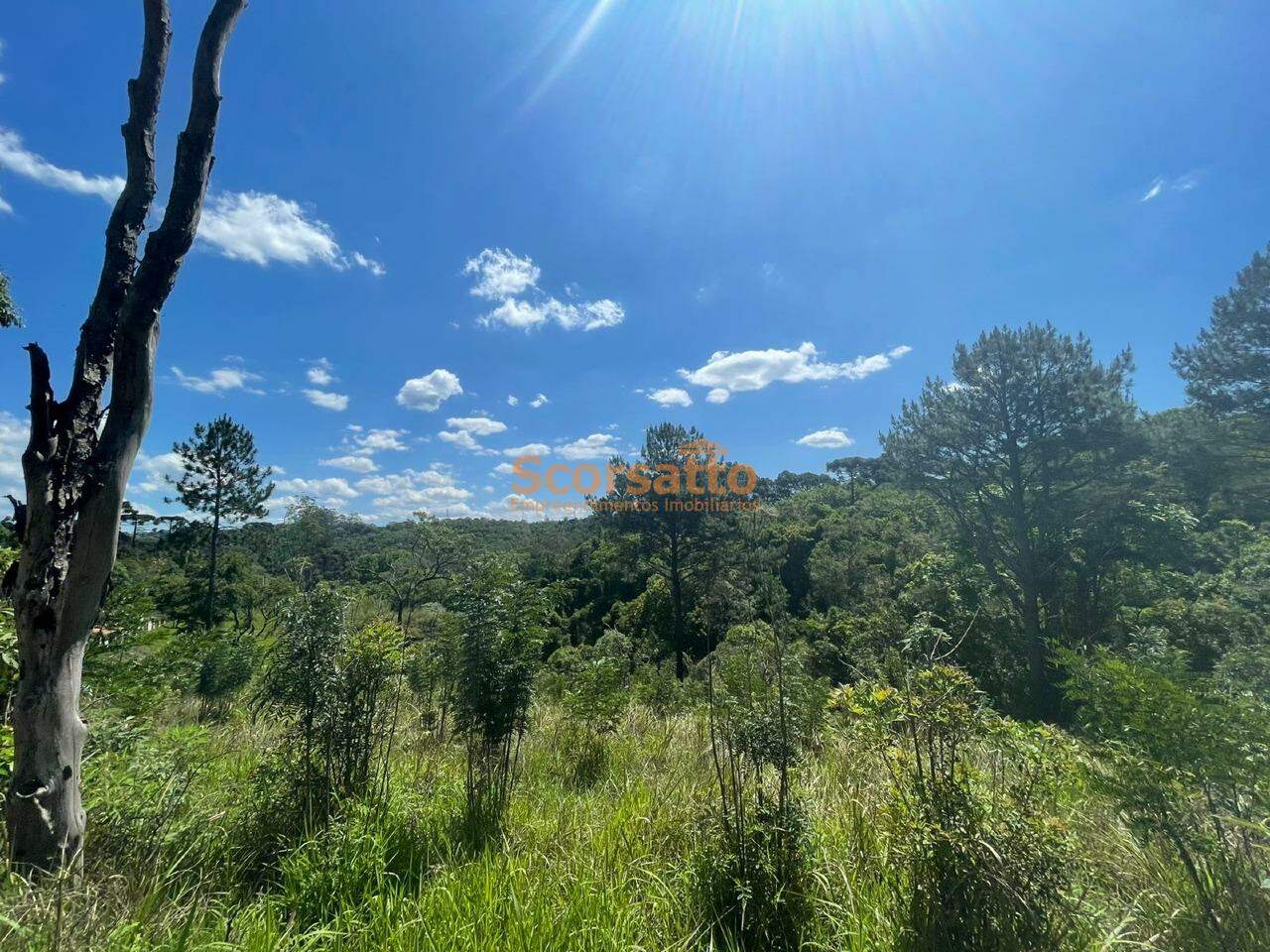 Terreno à venda no Engenho: 