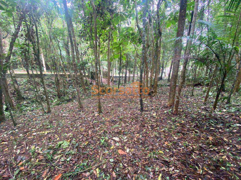 Terreno de Condomínio à venda no Jardim Petropólis: 