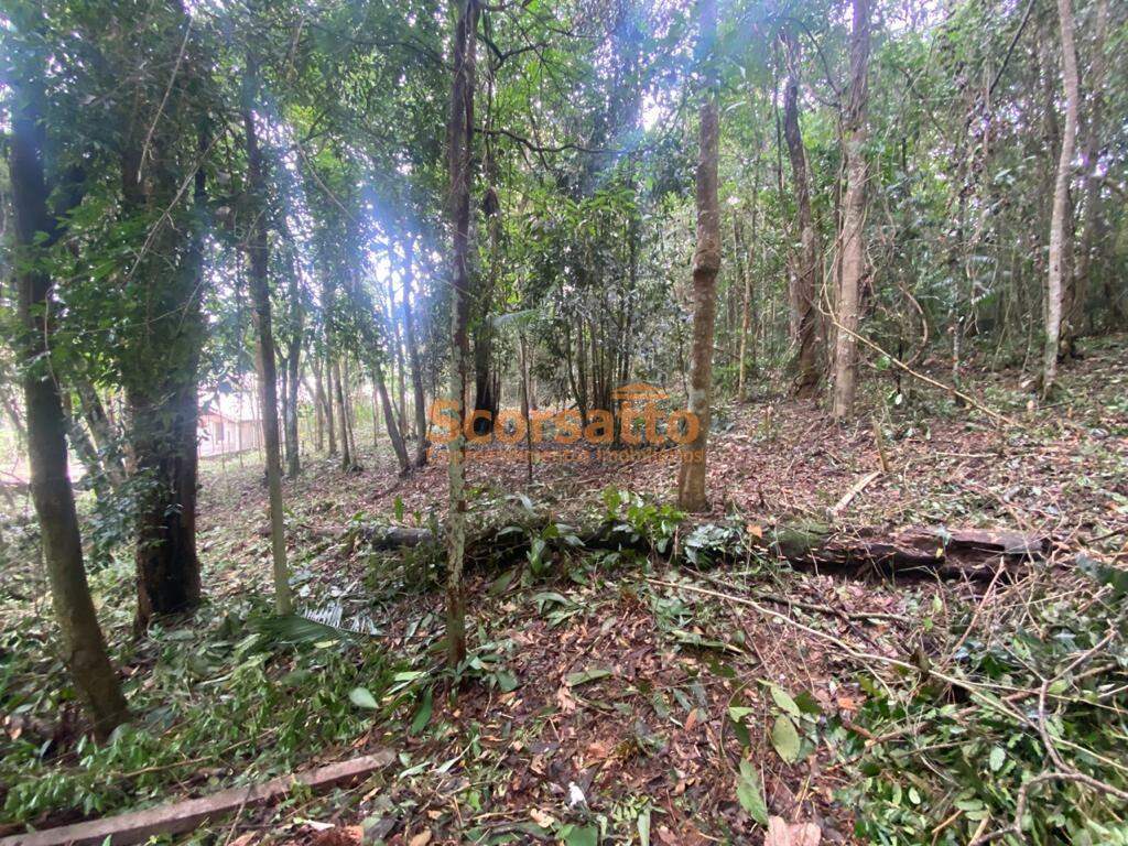 Terreno de Condomínio à venda no Jardim Petropólis: 