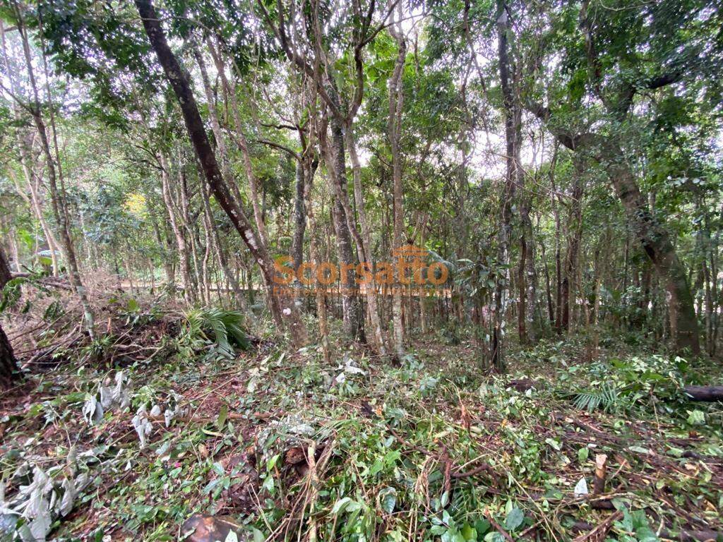 Terreno de Condomínio à venda no Jardim Petropólis: 