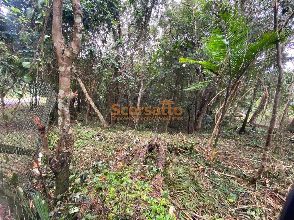 Terreno de Condomínio à venda no Jardim Petropólis: 